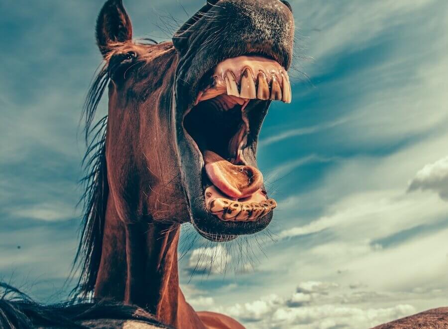 10 Cool facts about fonts